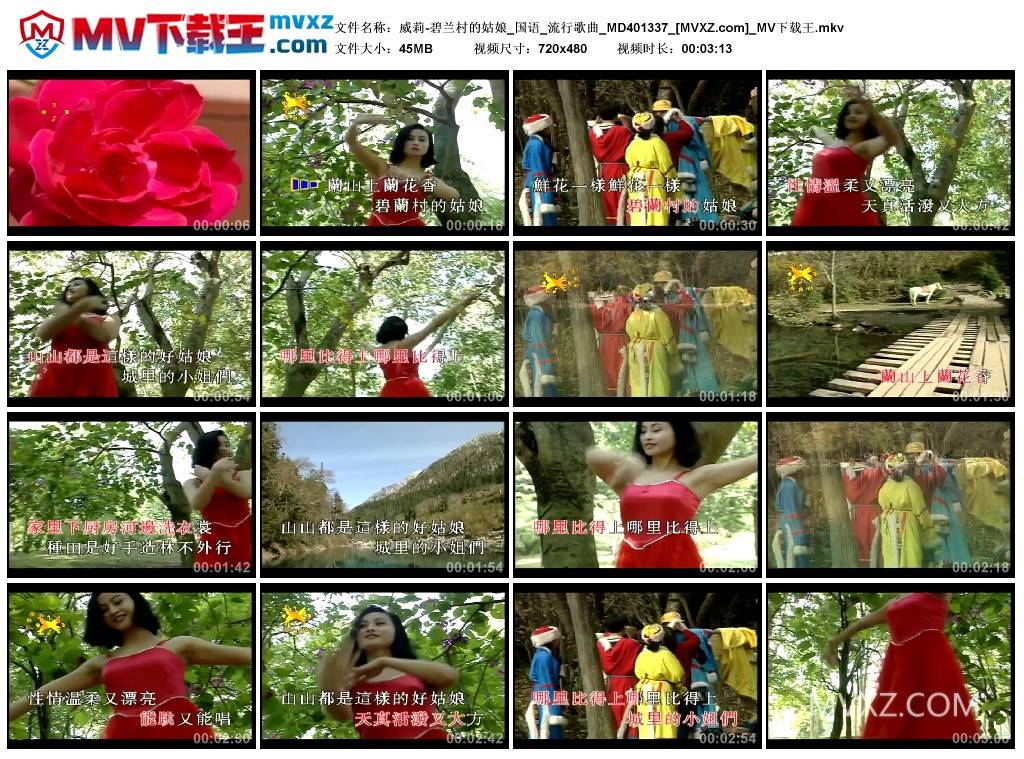威莉-碧兰村的姑娘_国语_流行歌曲_MD401337